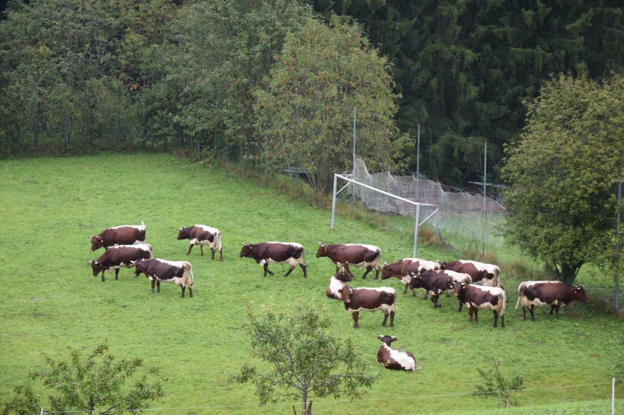 Pension Schachernhof Gasthof