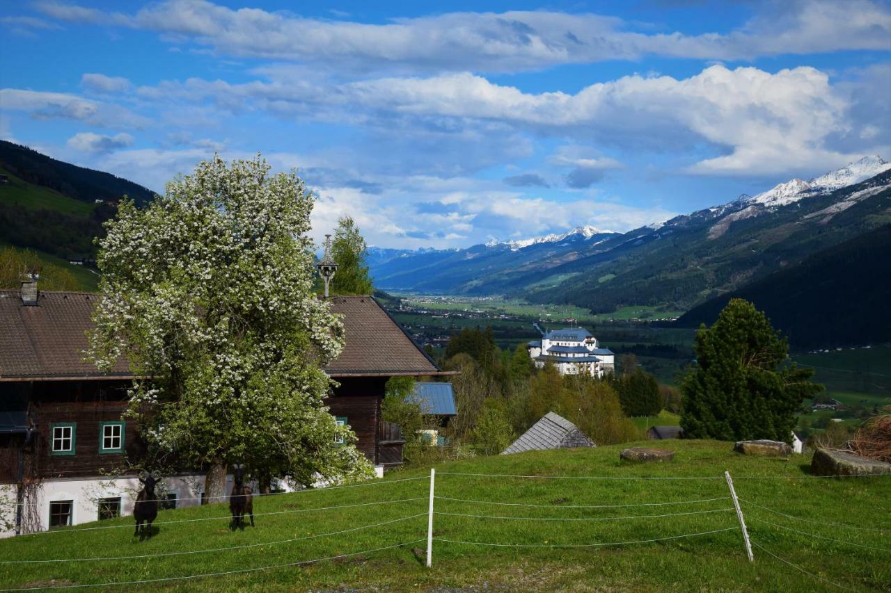 Pension Schachernhof Gasthof *